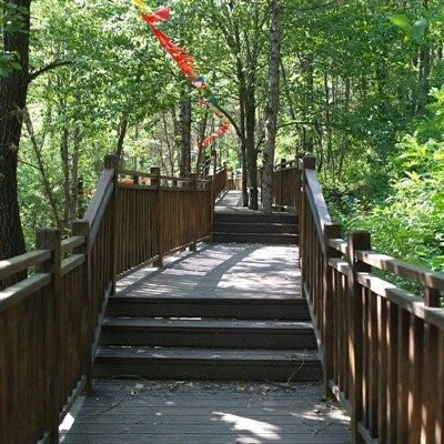 outdoor-bamboo-flooring43739 outdoor-bamboo-flooring43739